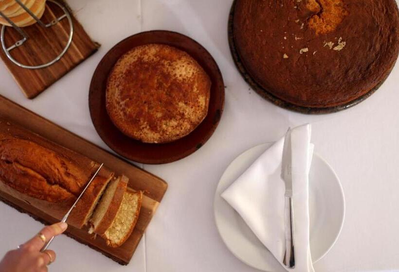 Fotos del hotel Punta Sur:  19