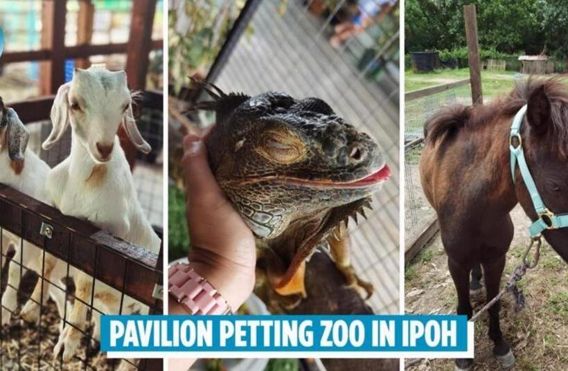 Fotos del hotel Highway Budget:  8