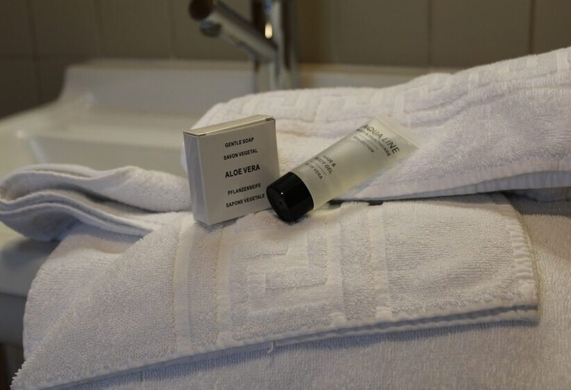 Fotos del hotel Irish College Leuven:  5