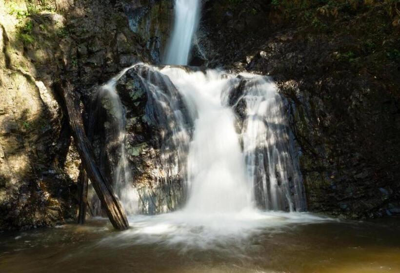 Fotos del hotel B2 Pai Premier Resort:  6