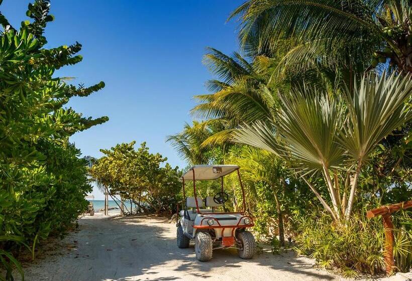 Fotos del hotel Villas Hm Palapas Del Mar:  42