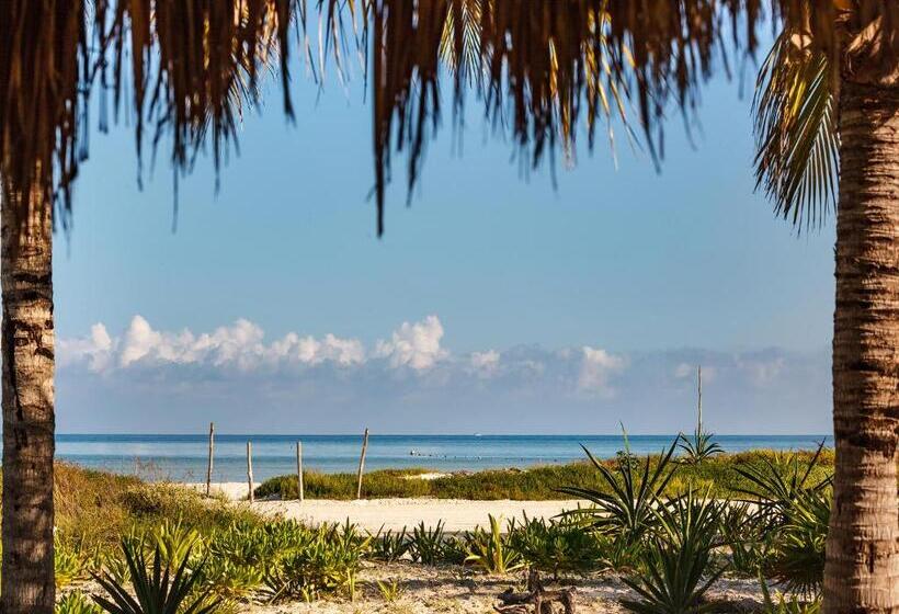 Fotos del hotel Villas Hm Palapas Del Mar:  26