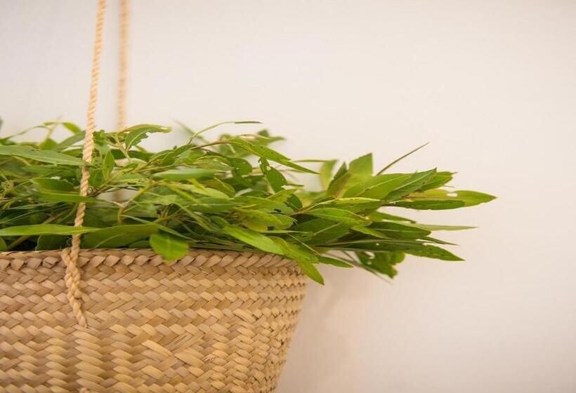 Fotos del hotel Villas Hm Palapas Del Mar:  22