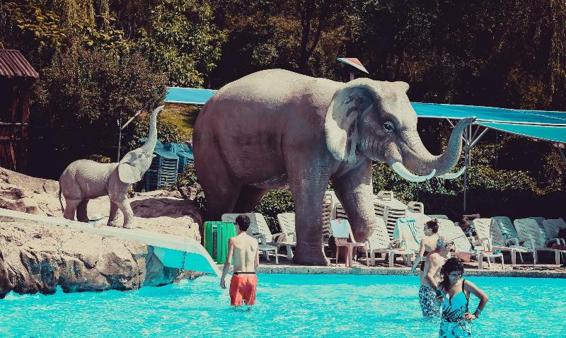 Fotos del hotel Aquatek Resort & Spa:  22