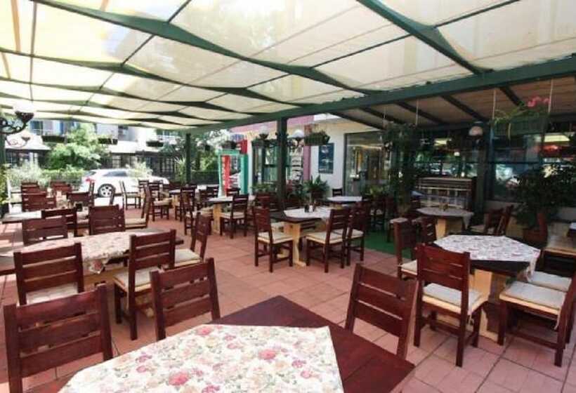 Fotos del hotel Tanya:  15