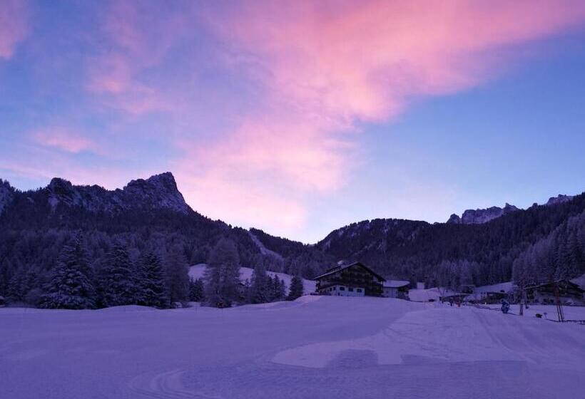 Fotos del hotel Alaska:  7