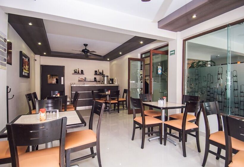 Fotos del hotel Majova Inn Xalapa:  13