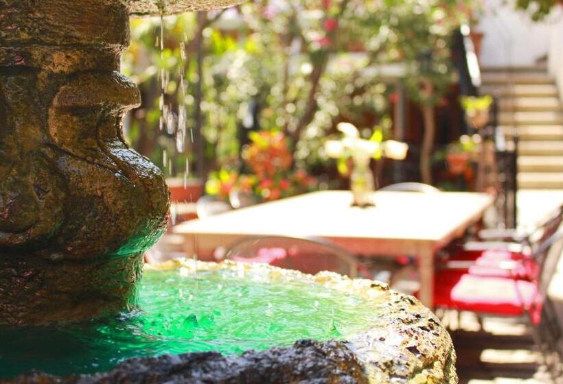 Fotos del hotel Las Mariposas Eco-hotel & Studios:  9