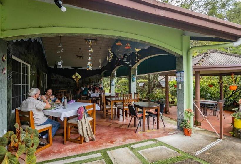 Fotos del hotel El Oasis Hotel Y Restaurante:  2