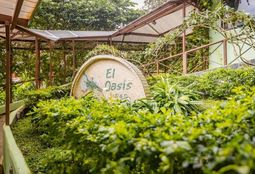 Fotos del hotel El Oasis Hotel Y Restaurante:  5