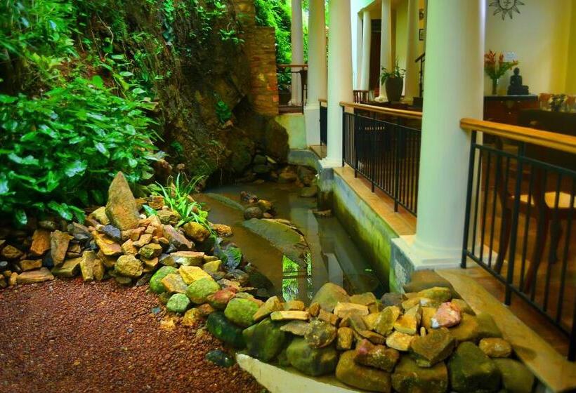 Fotos del hotel Tropical Retreat:  6