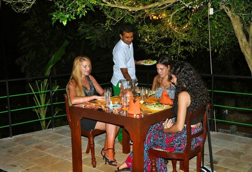 Fotos del hotel Tropical Retreat:  20