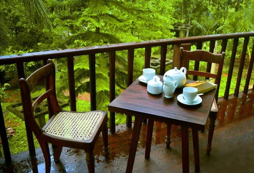 Fotos del hotel Tropical Retreat:  11