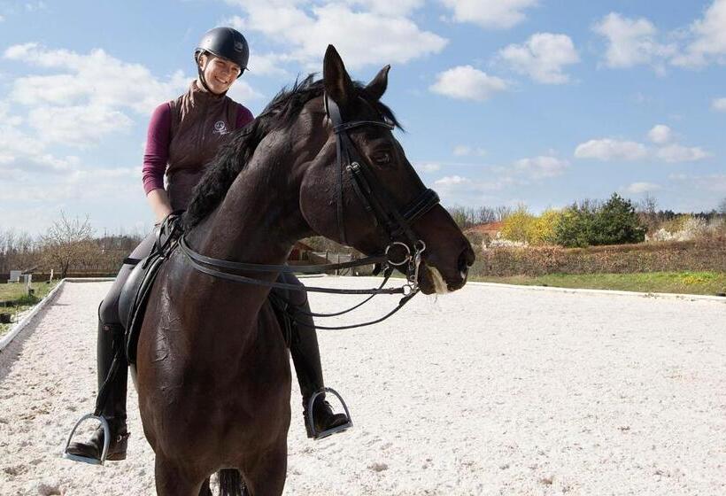 Fotos del hotel Panska Licha:  9