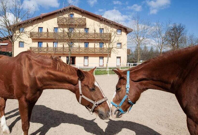 Fotos del hotel Panska Licha:  6