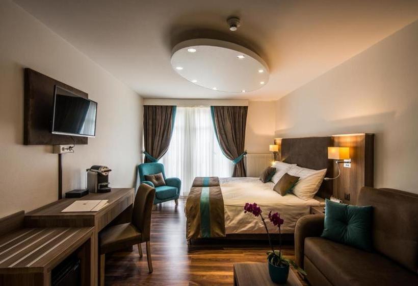 Fotos del hotel Rousseau:  14