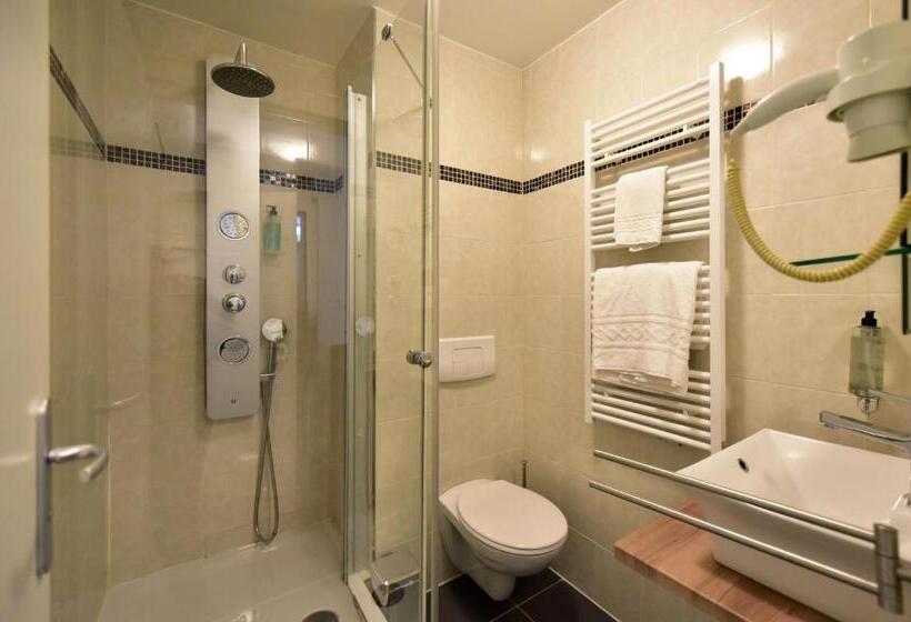 Fotos del hotel Rousseau:  13