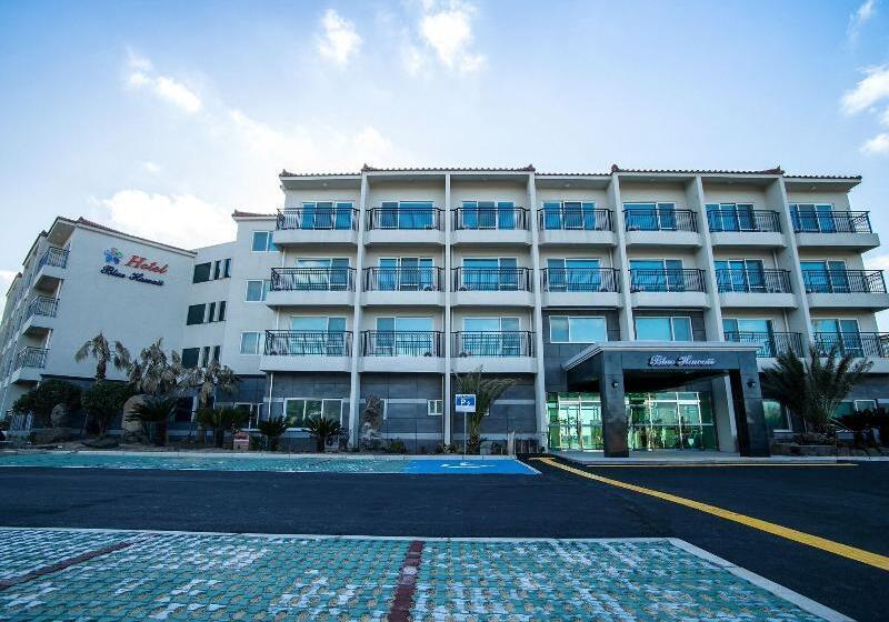 Fotos del hotel Blue Hawaii:  9