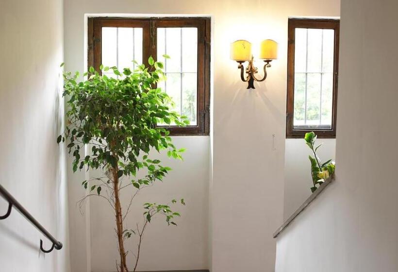 Fotos del hotel Domus Corsini:  2