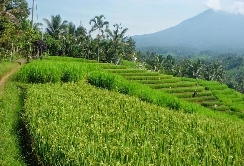 Fotos del hotel Zen Rooms Hang Tuah Sanur:  14