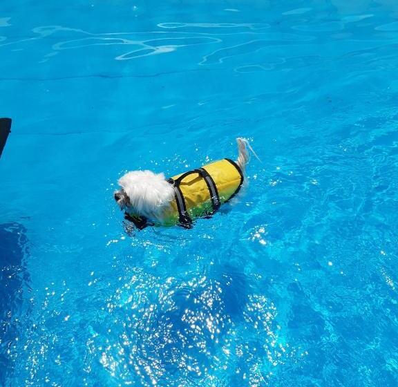 Fotos del hotel Hi Jeju:  10