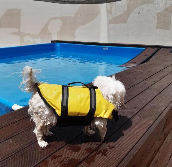 Fotos del hotel Hi Jeju:  7