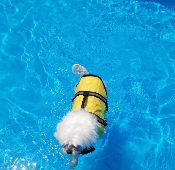 Fotos del hotel Hi Jeju:  5