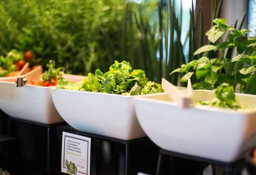 Fotos del hotel Q  Plus Katowice:  18