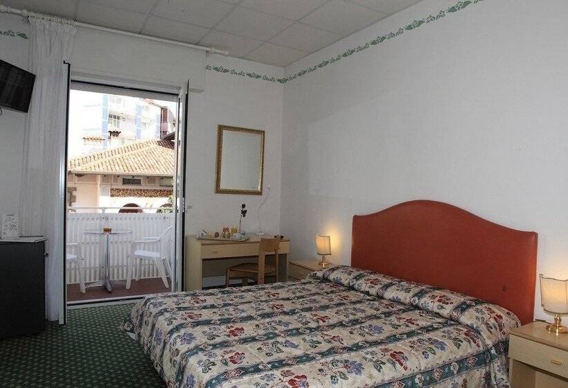 Fotos del hotel Villa Rosa:  8