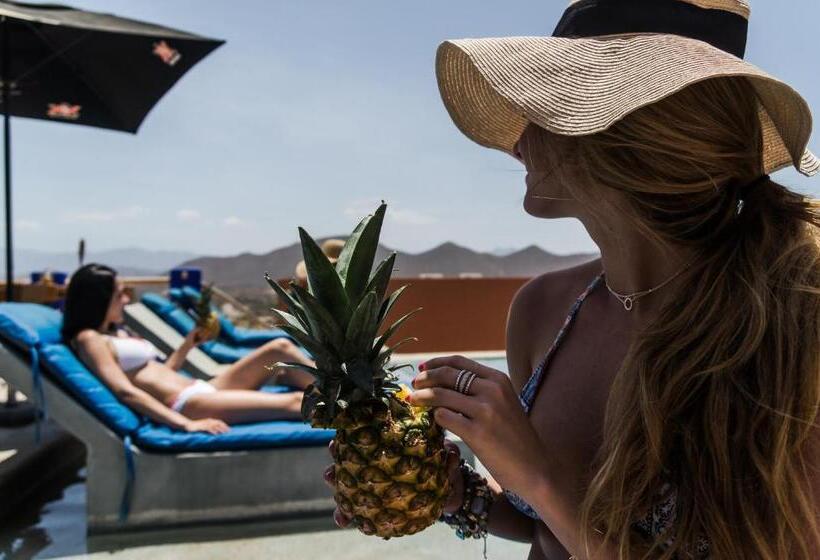 Fotos del hotel Cerritos Beach Hotel Desert Moon:  24