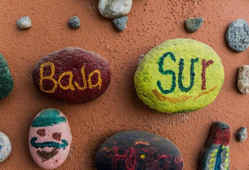 Fotos del hotel Cerritos Beach Hotel Desert Moon:  11