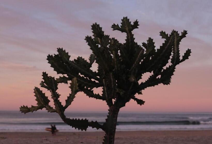 Fotos del hotel Cerritos Beach Hotel Desert Moon:  17