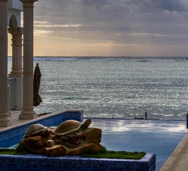 Fotos del hotel Cielo Maya Beach Tulum:  13