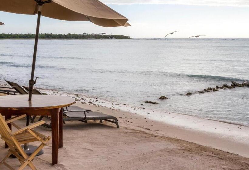 Fotos del hotel Cielo Maya Beach Tulum:  16