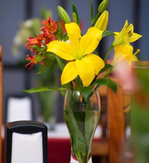 Fotos del hotel Capital O  Villa De León:  7