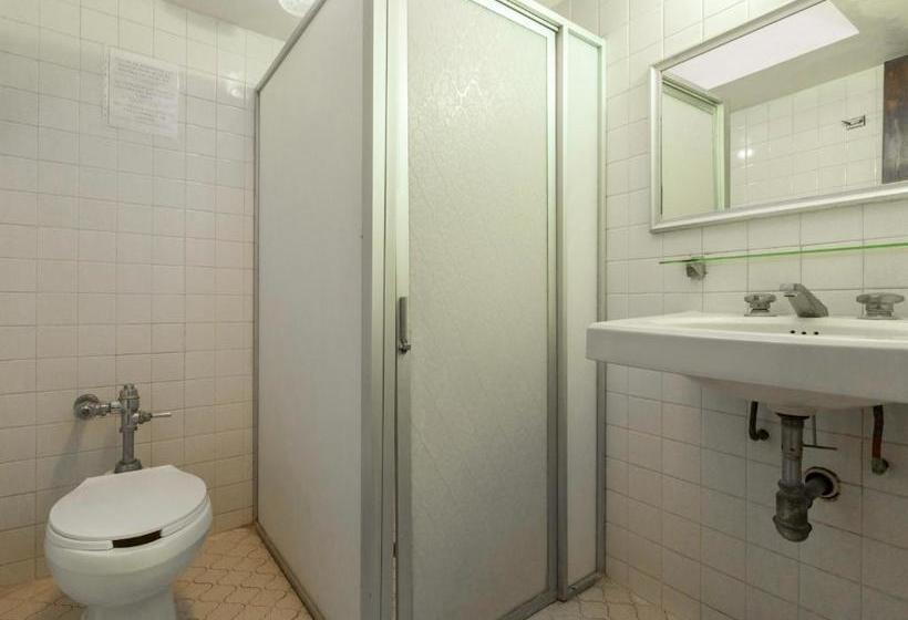 Fotos del hotel Capital O  Villa De León:  5