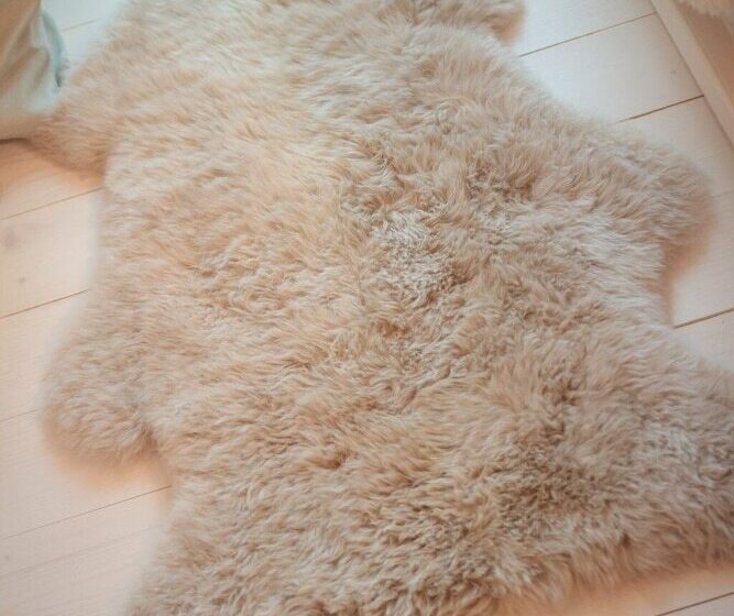 Fotos del hotel Arctic Treehouse:  7