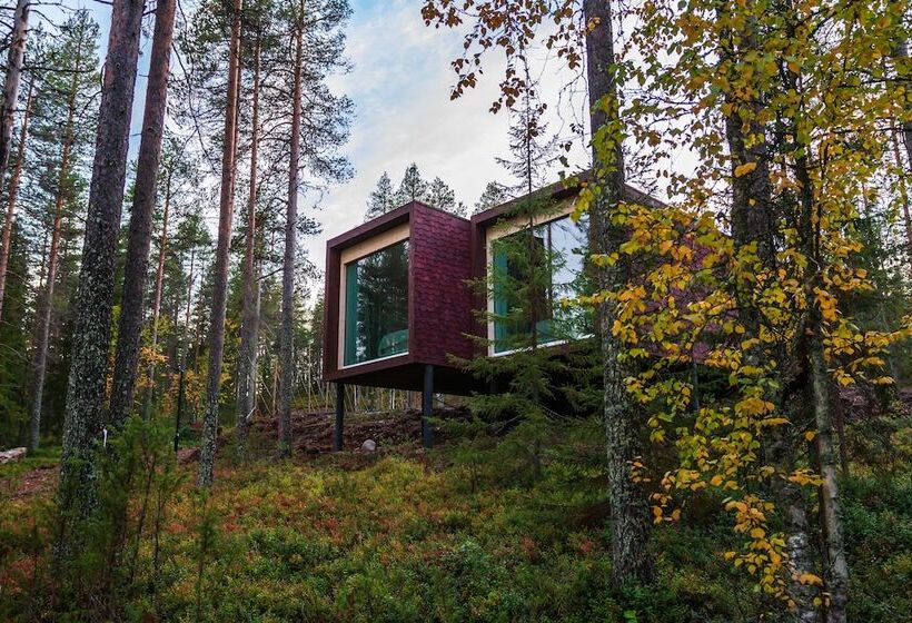 Fotos del hotel Arctic Treehouse:  22