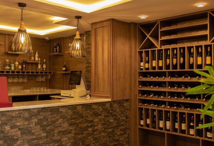 Fotos del hotel Hôtel Mandy:  22