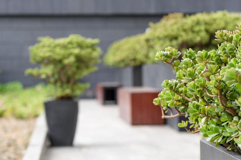 Fotos del hotel City Express Plus Bogota Aeropuerto:  11