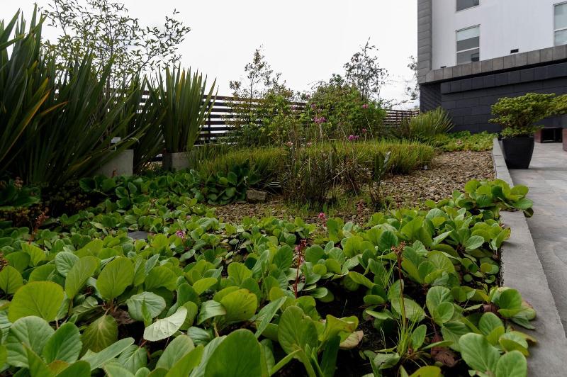 Fotos del hotel City Express Plus Bogota Aeropuerto:  12