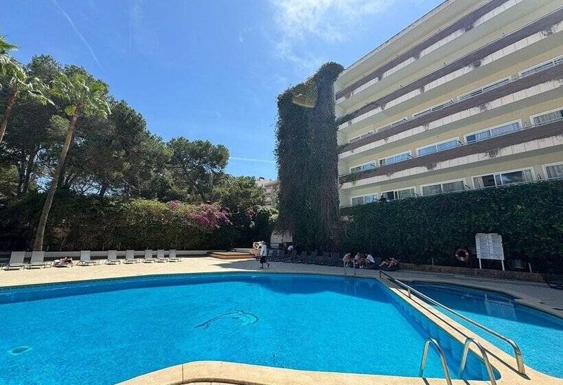 Fotos del hotel Ipanema Park:  7