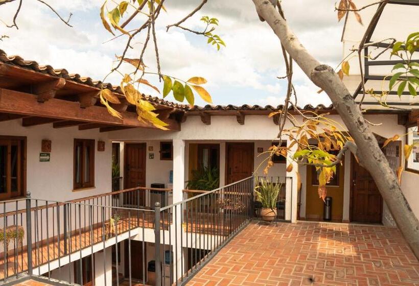 Fotos del hotel Casa Margarita:  10