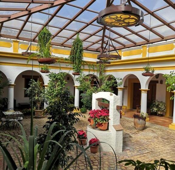 Fotos del hotel Casa Margarita:  19