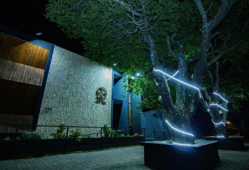 Fotos del hotel Cumbres Del Sur:  9