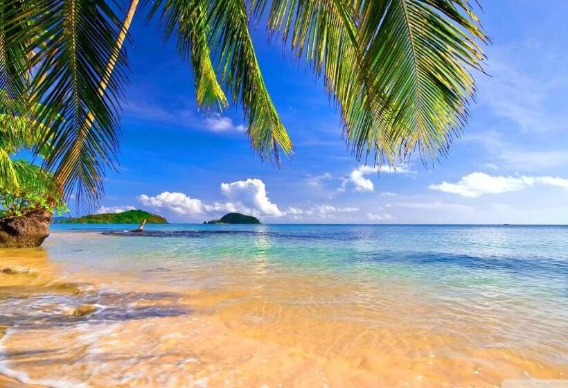 Fotos del hotel Alyssa Da Nang:  6