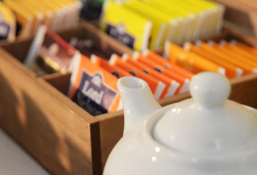 Fotos del hotel Giulio Cesare:  13