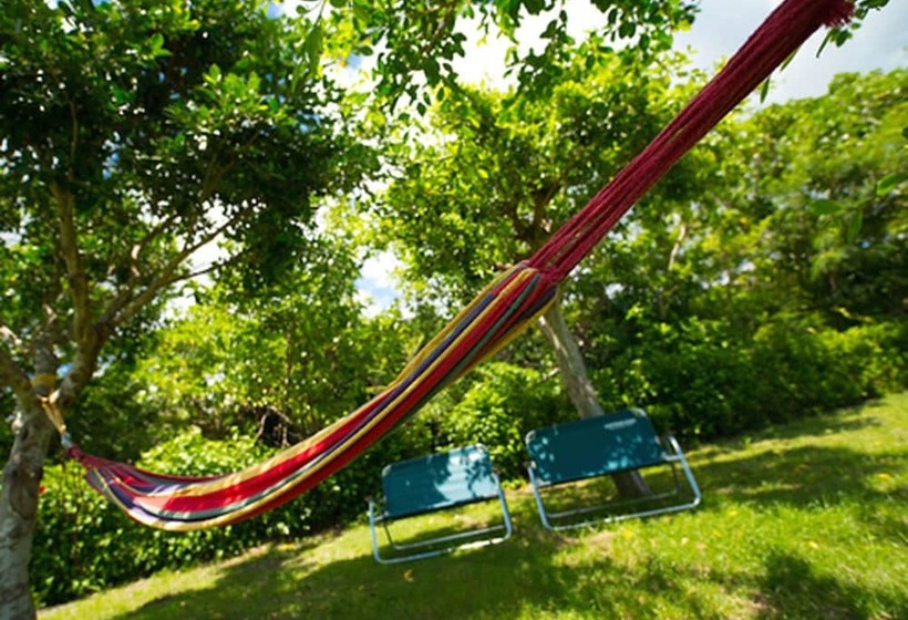 Fotos del hotel Sun Green Grass Ishigaki:  3