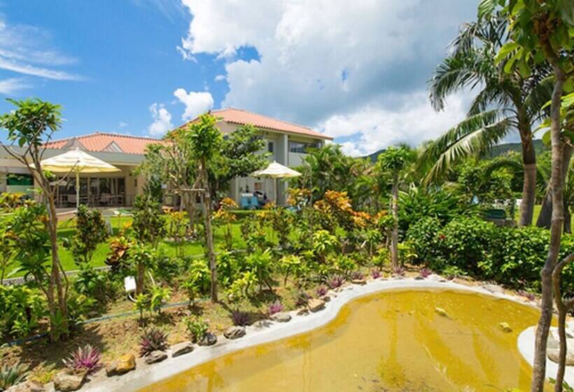 Sun Green Grass Ishigaki