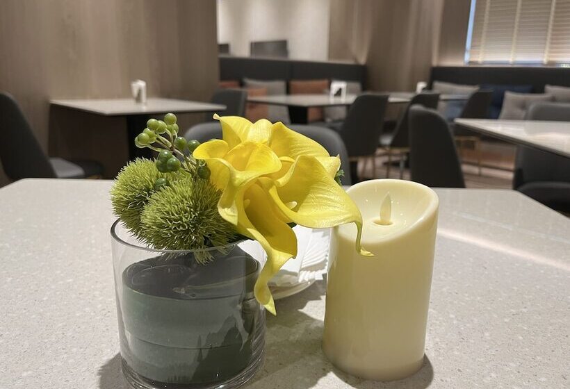 Fotos del hotel Discover:  8